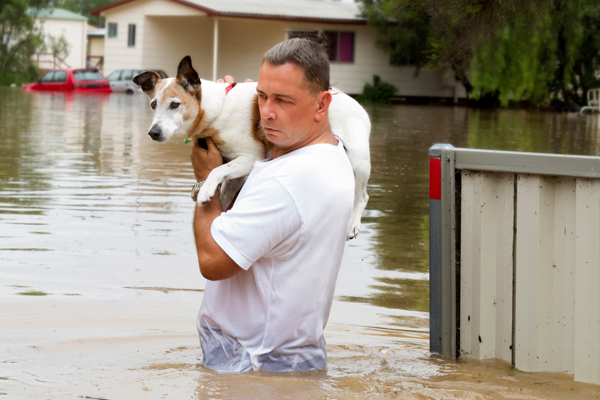 blog-disaster-prep-dog-carried-in-flood Dog Carried in Flood Waters