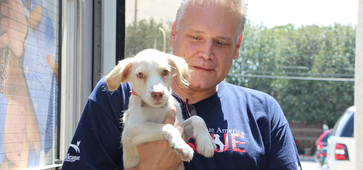 latest-rescues-blog-feature-november-700-112016