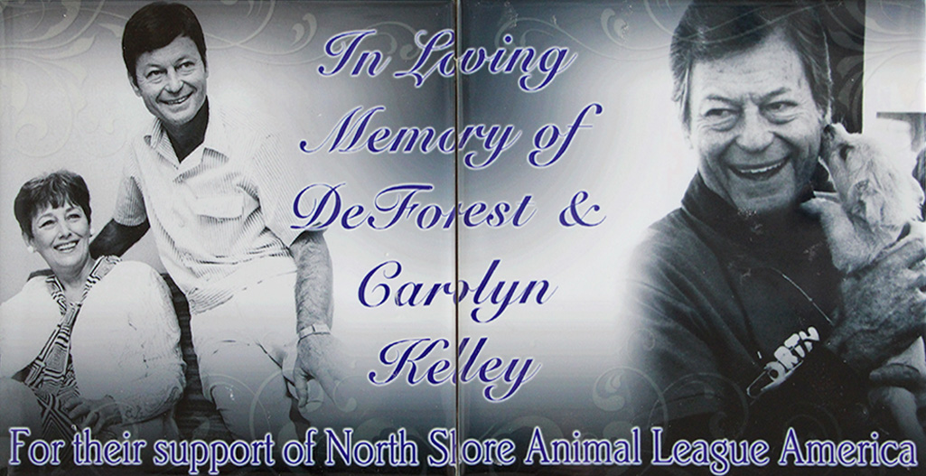 deforest-and-carolyn-kelley-ways-to-give-image-tile-05042017 In loving memory of Deforest and Carolyn Kelley for their support of North Shore Animal League America.
