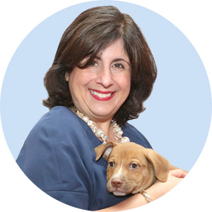 our-team-who-we-are-diana-zaferiou