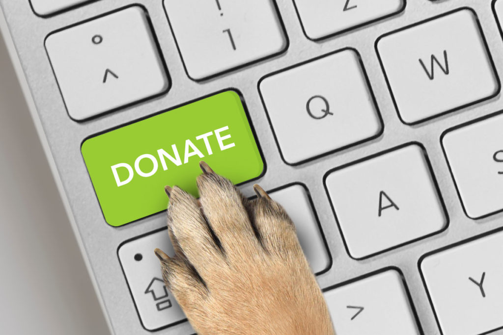 start-a-fundraiser-get-involved_1200x800_icon1_create_paw