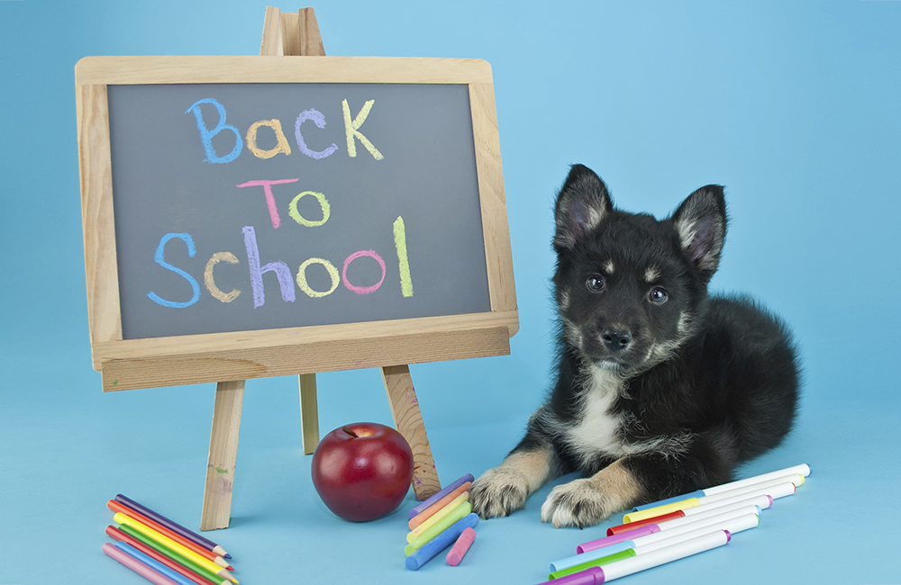Back To School!