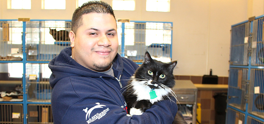 faces-of-the-league-manuel-aguirre-shelter-kitten-01142016
