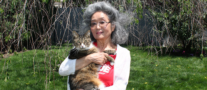 faces-of-the-league-mrs-yamaguchi-backyard-cat-062615