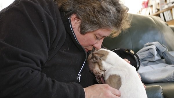 National Mill Dog Rescue Stroy 8.21.17