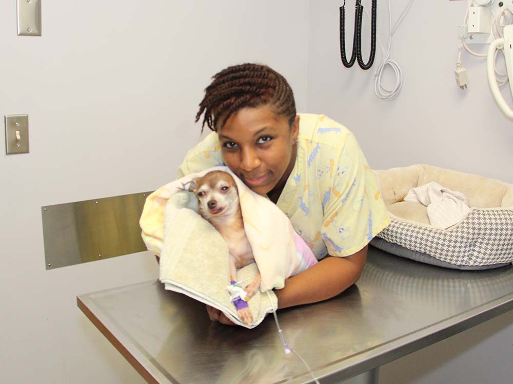 medical-vet-tech-week-christyne-img1122-10192017