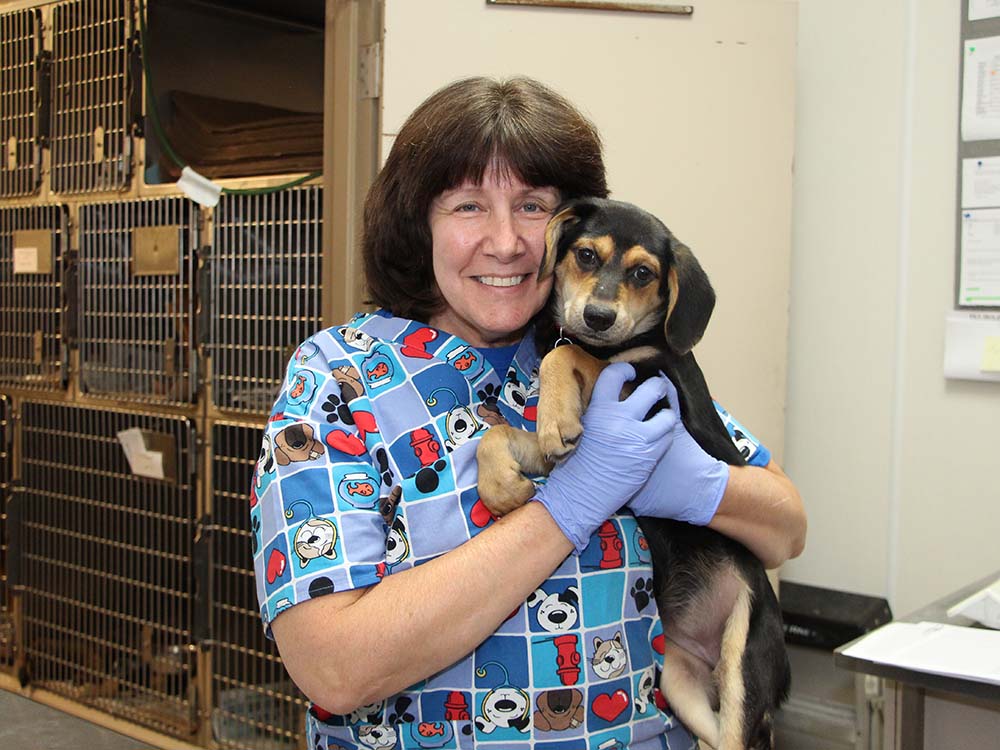 medical-vet-tech-week-diane-img1240-10192017