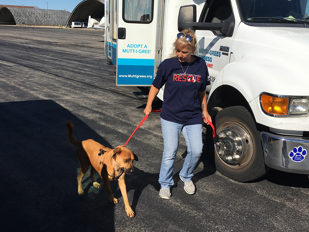 rescue-irma-turks-caicos-karla-marley-100217