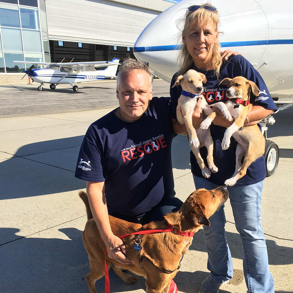 rescue-irma-turks-caicos-karla-ted-marley-pups-100217