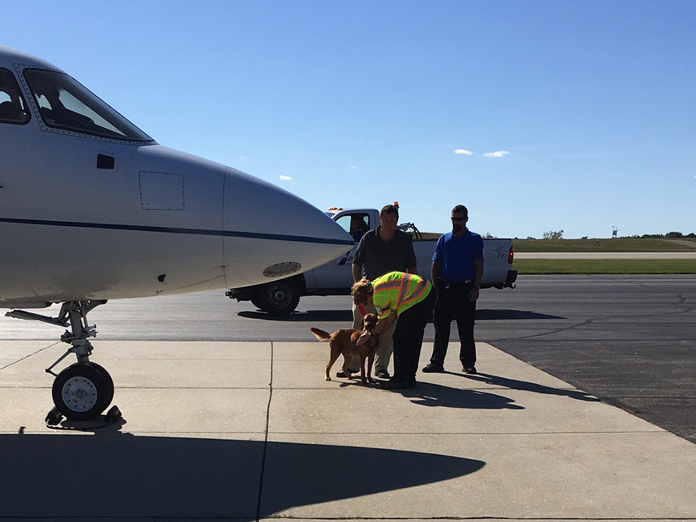 rescue-irma-turks-caicos-marley-arrives-100217