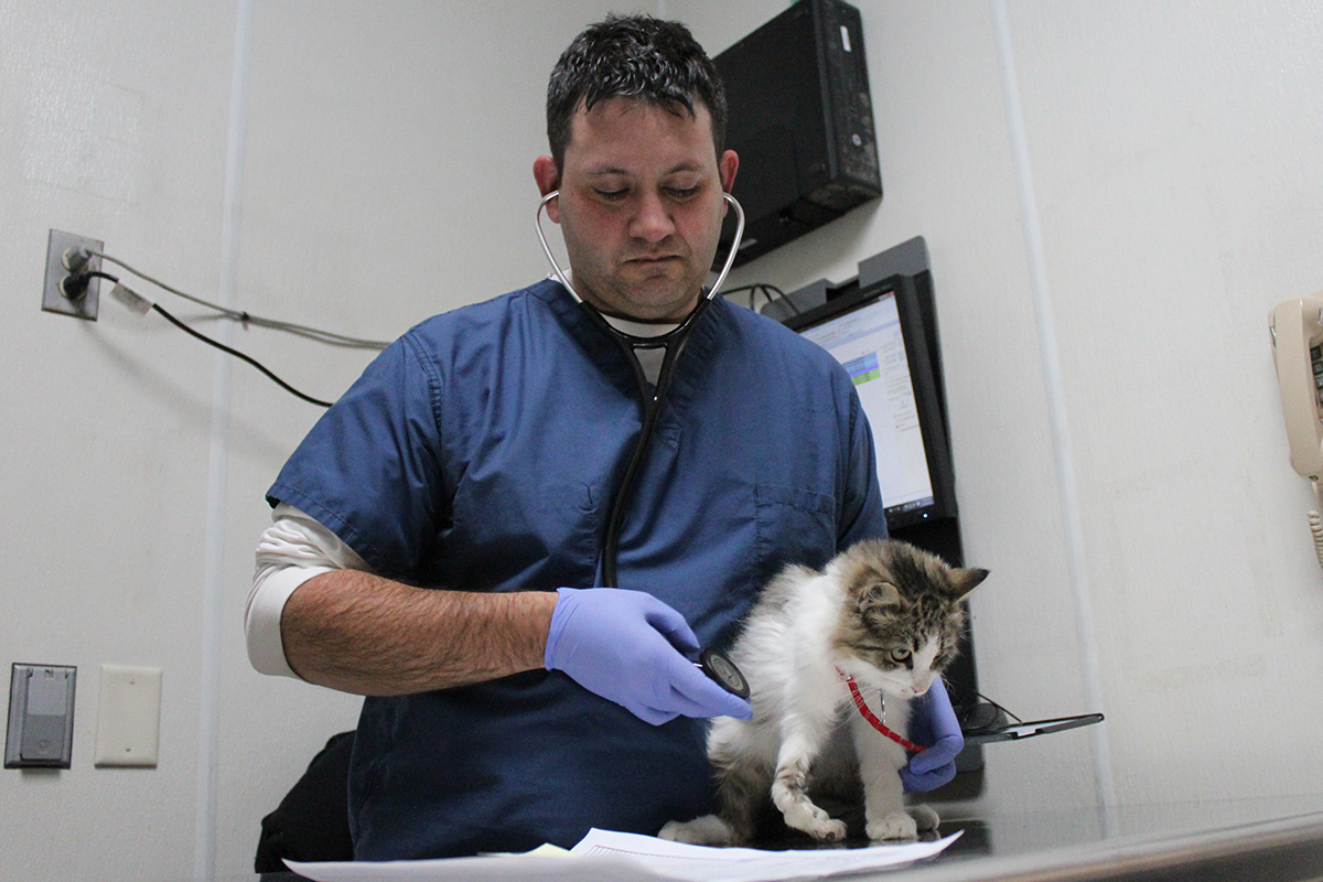 rescue-bacc-fila-broken-leg-dr-laheney-112617-IMG_9050
