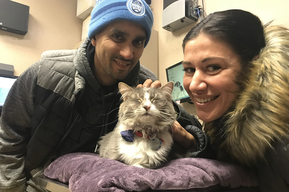 adoption-story-sponsor-pet-pretty-kitty-with-adopters-img1868