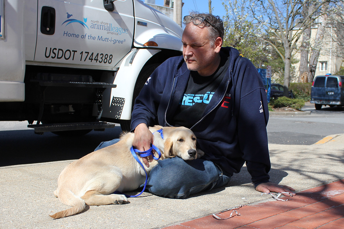 rescue-national-mill-dog-042118-IMG_2620