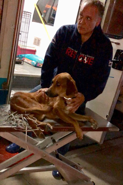 rescue-turks-caicos-clifford-arrival