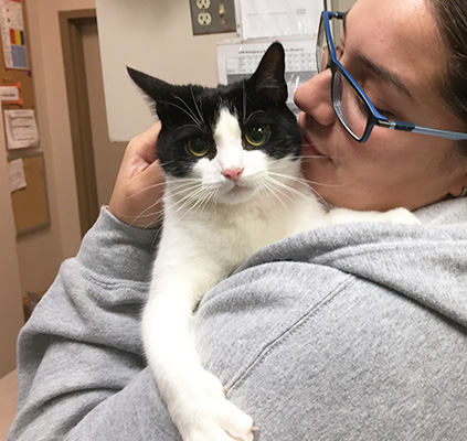 adoption-story-disabled-pets-feb2017-Anastasia-230