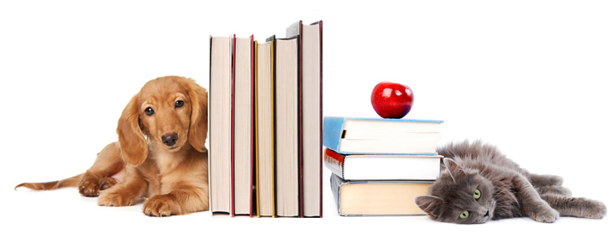 tips-back-to-school-dog-cat-books