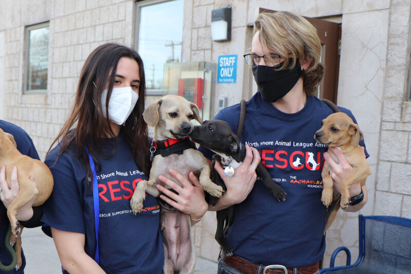 rescue-louisiana-paws4life-jabba-and-pups-032321img8744