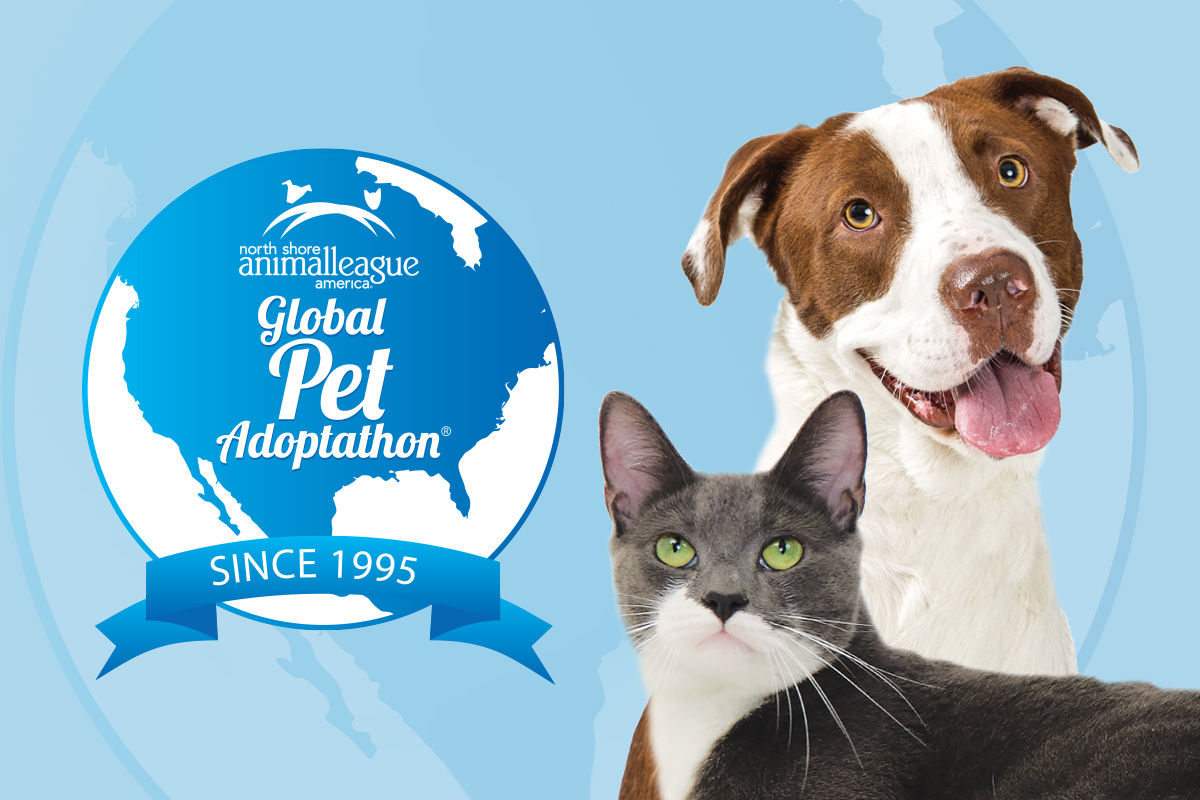 Global Pet Adoptathon