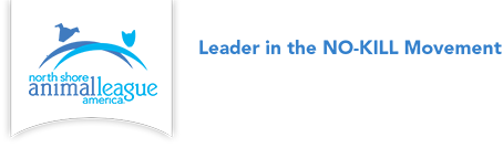 Animal League (webdev) Logo