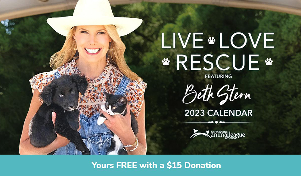 beth-blog-2023-calendar