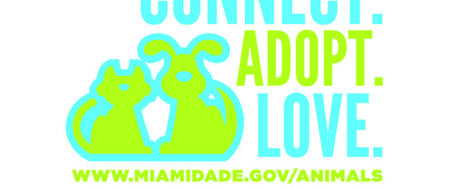 Miami-Dade Animal Shelter