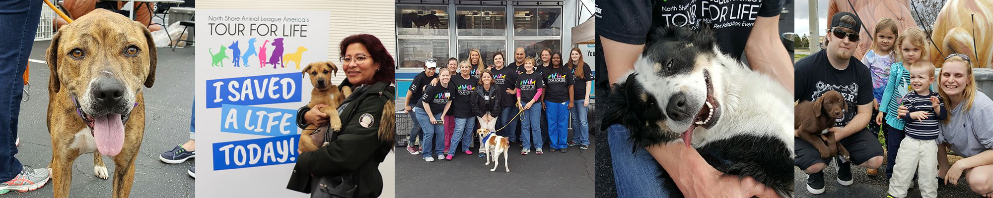 tfl_image_adoptions_1_2024