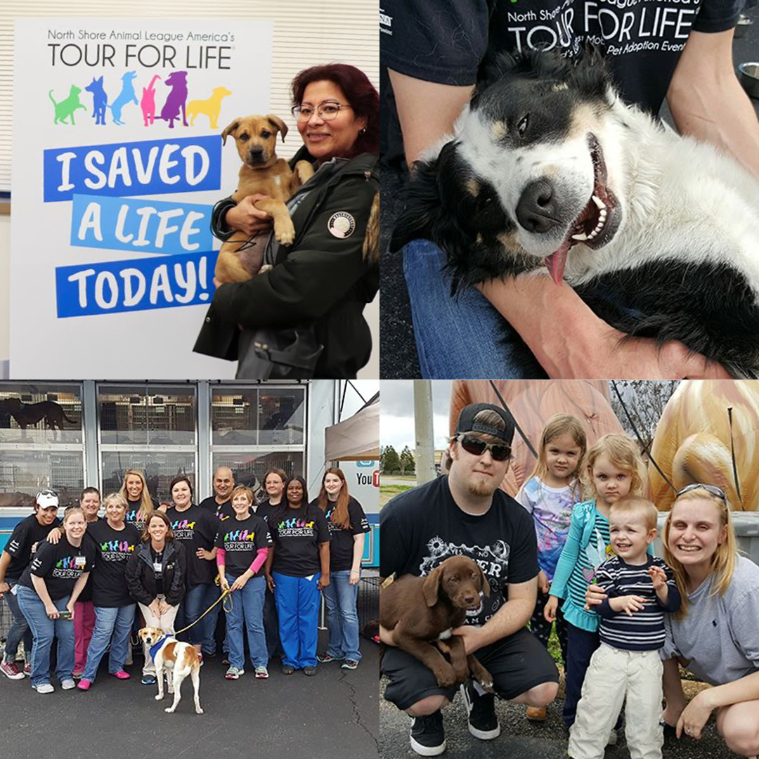 tfl_image_adoptions_1_mob_2024