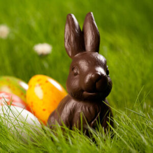 beth-blog-march24-chocolate-bunny2 Chocolate Bunny