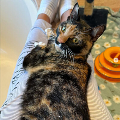 beth-blog-march24-pattycake-img2 Pattycake