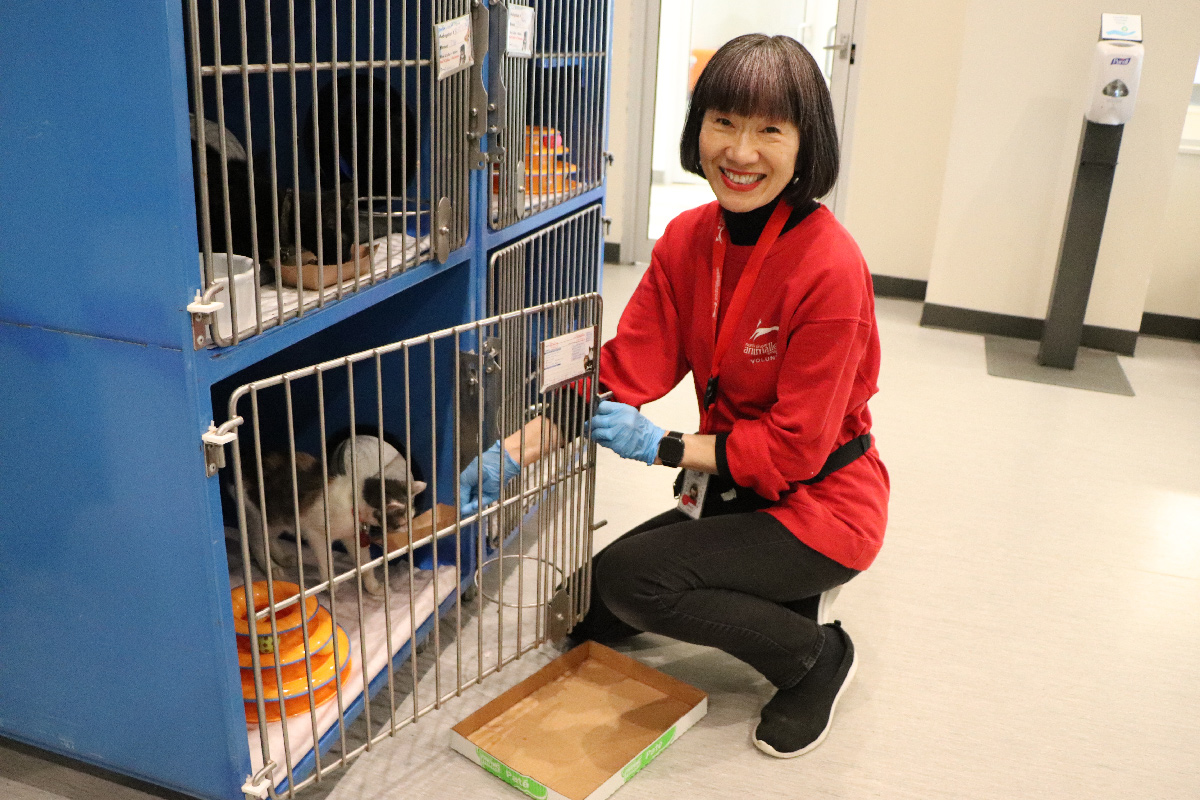 volunteer-month-2024-wk1-michiko-hashimoto-img7589 Volunteer Michiko Hashimoto