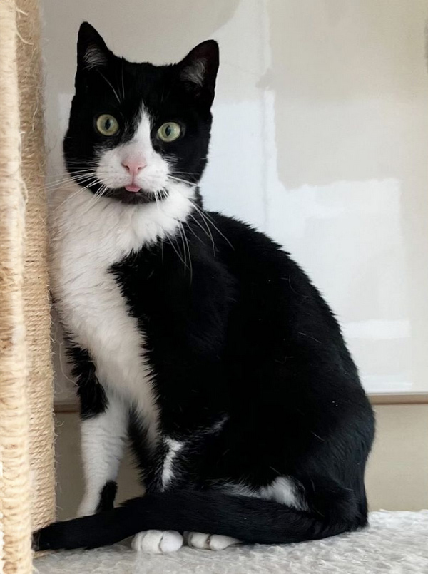 beth-blog-may2024-petey Petey