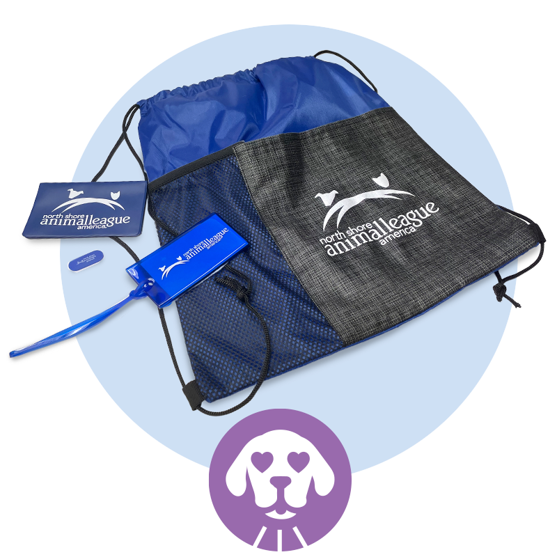 nsala_walkandwag_2024_web_rewards_furocious_1a