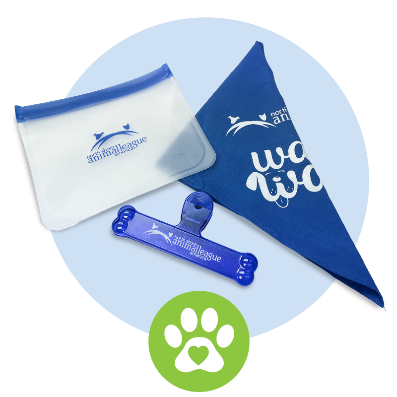 nsala_walkandwag_2024_web_rewards_pawesome_1