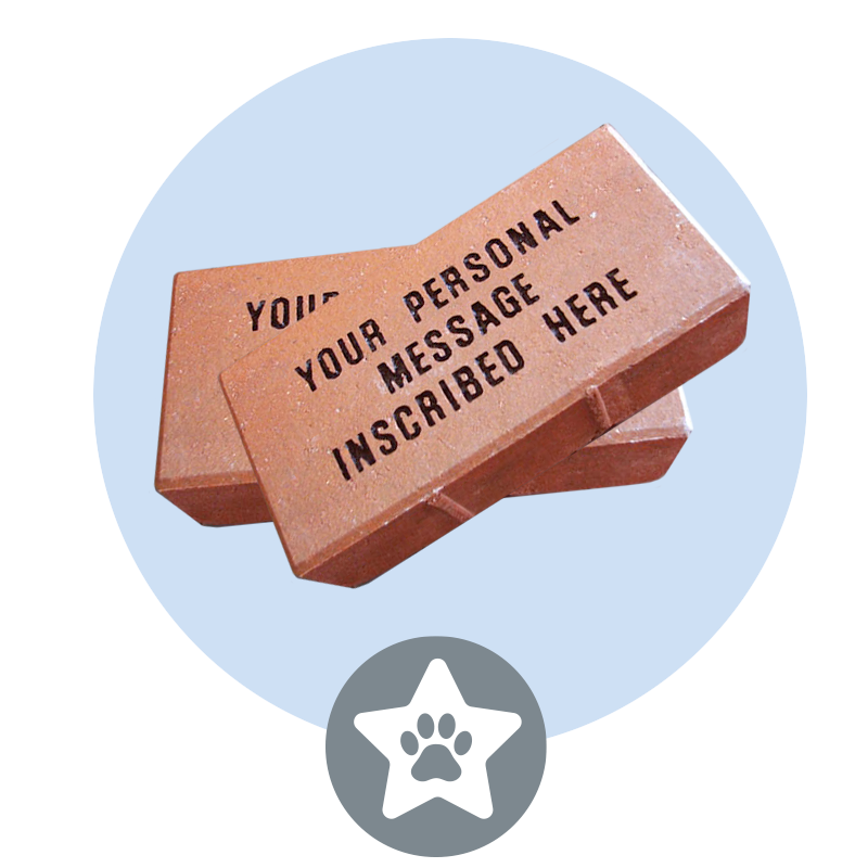 nsala_walkandwag_2024_web_rewards_warrior_1