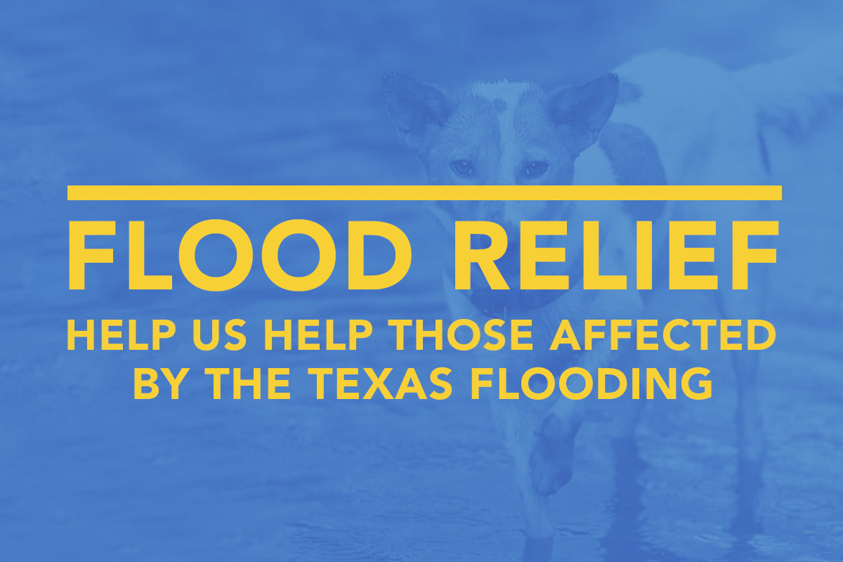 nsala_feature_2024_texasflooding