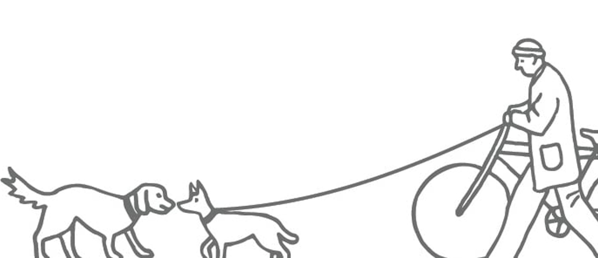 nsala_walkandwag_2024_icons_mob