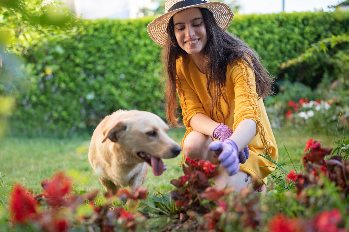 pet-garden-safety-img1330221028