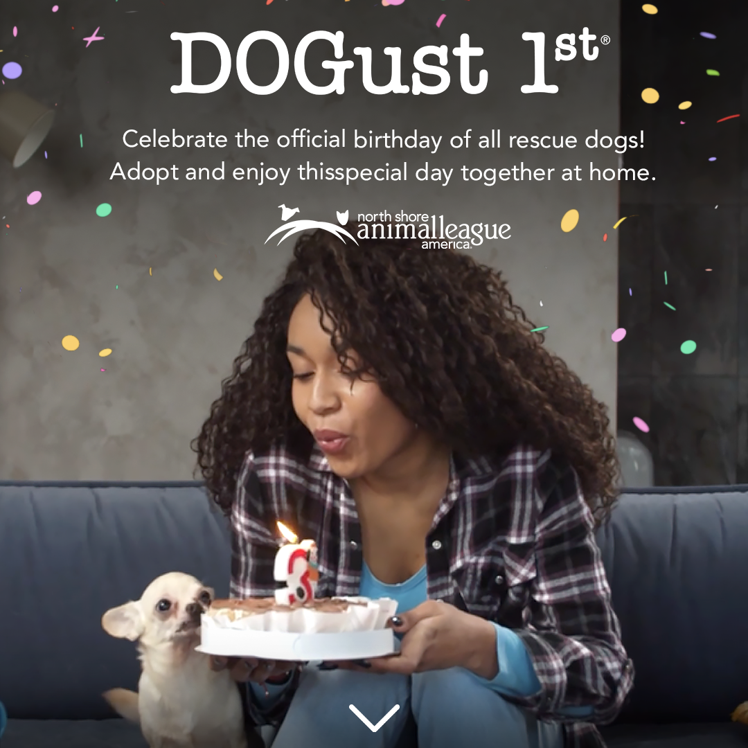 nsala_assets_dogust1st_header_mobile_1a_2024