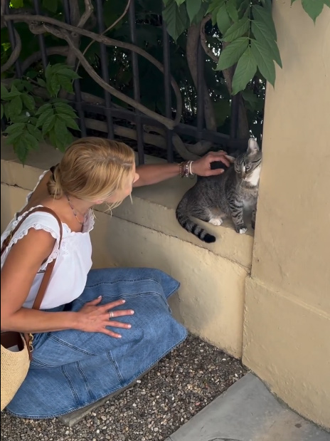 beth-blog-august-beth-italy-cat