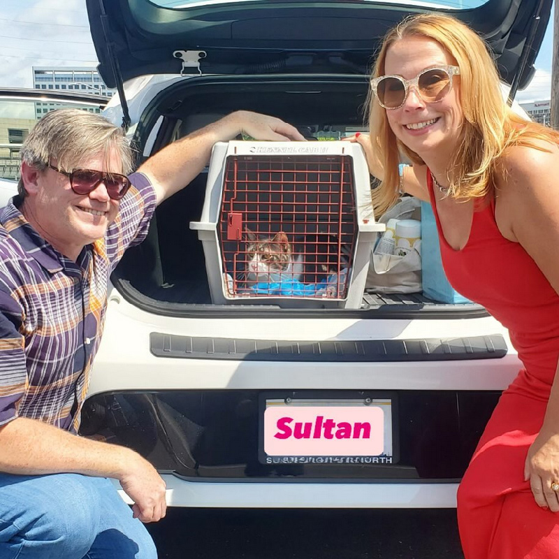 beth-blog-august-sultan-adopters Sultan's Adopters