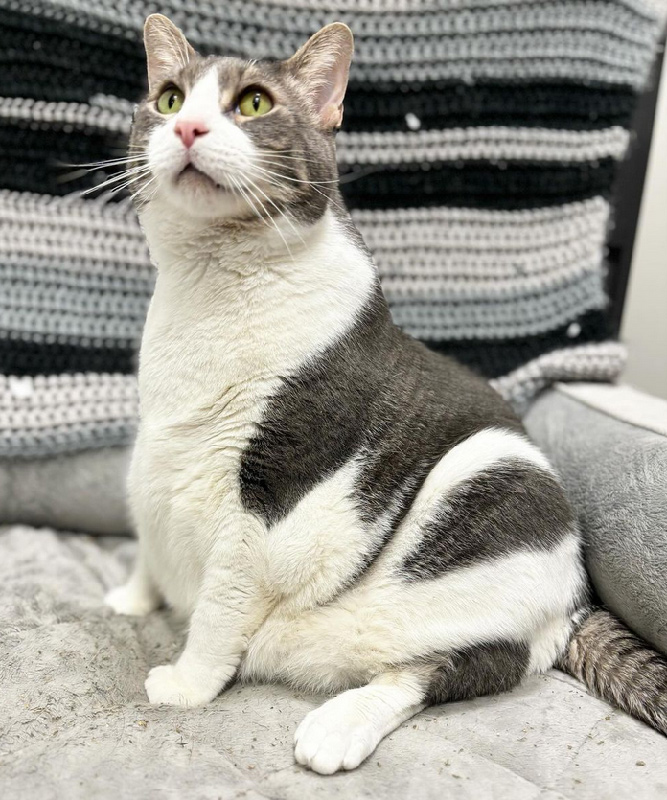 beth-blog-august-sultan Sultan