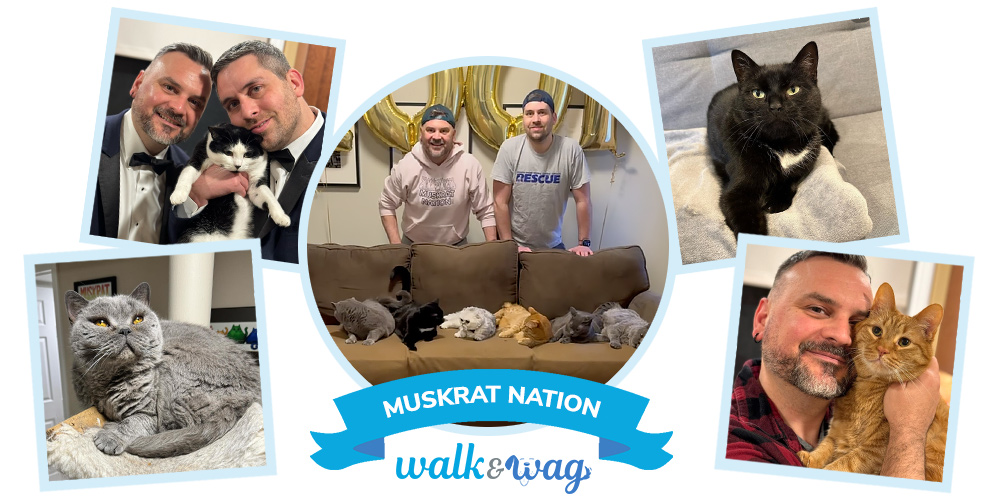 nsala_walkandwag_2024_ambassadors_page_2
