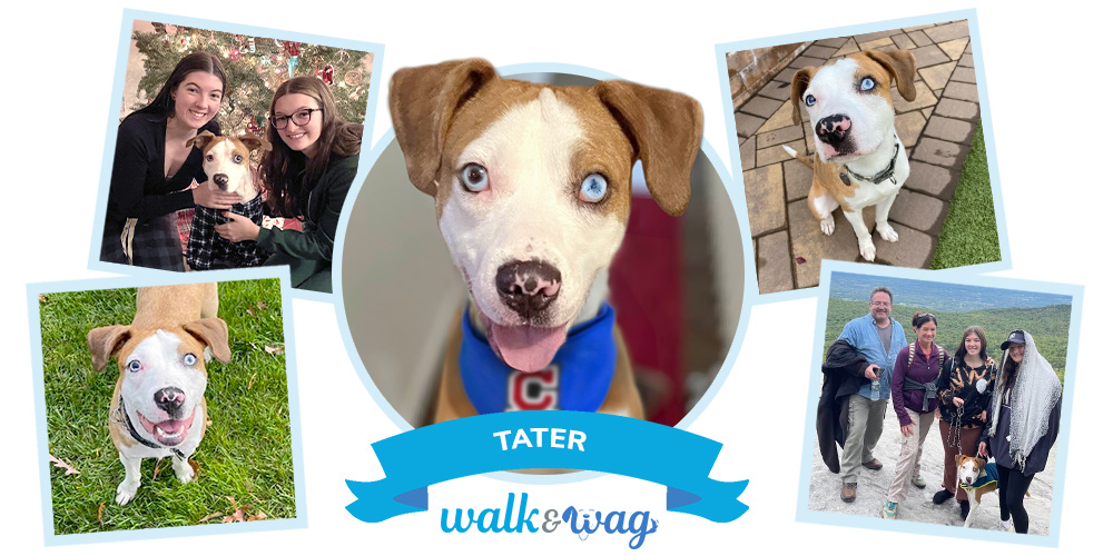nsala_walkandwag_2024_ambassadors_page_tater_2a