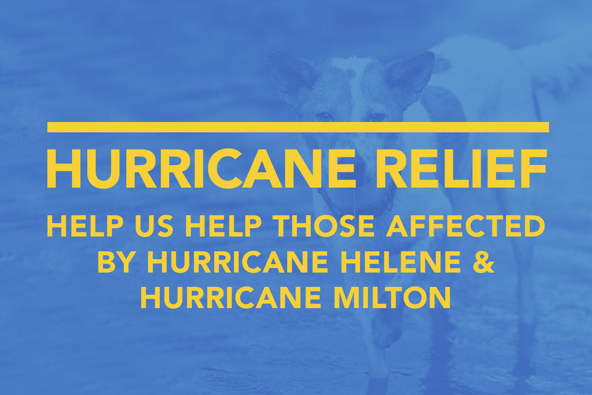 feature-hurricane-releif-oct2024-v1 Hurricane Relief 2024