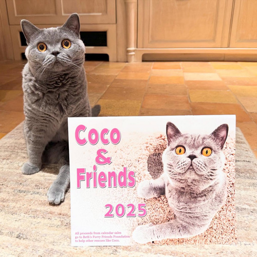 Coco & Friends Calenadr