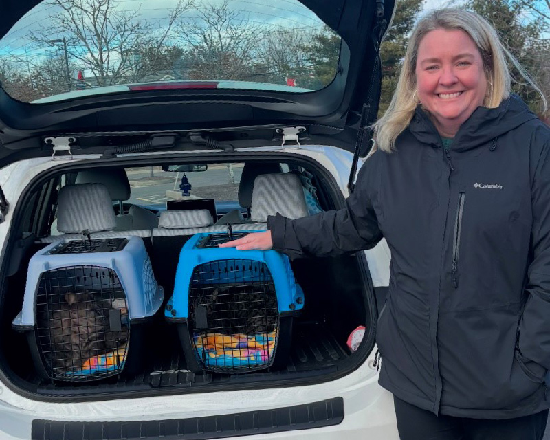 beth-blog-jan25-hercules-apollo-adopter Hercules & Apollo Adoption