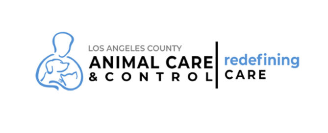 los angeles acc