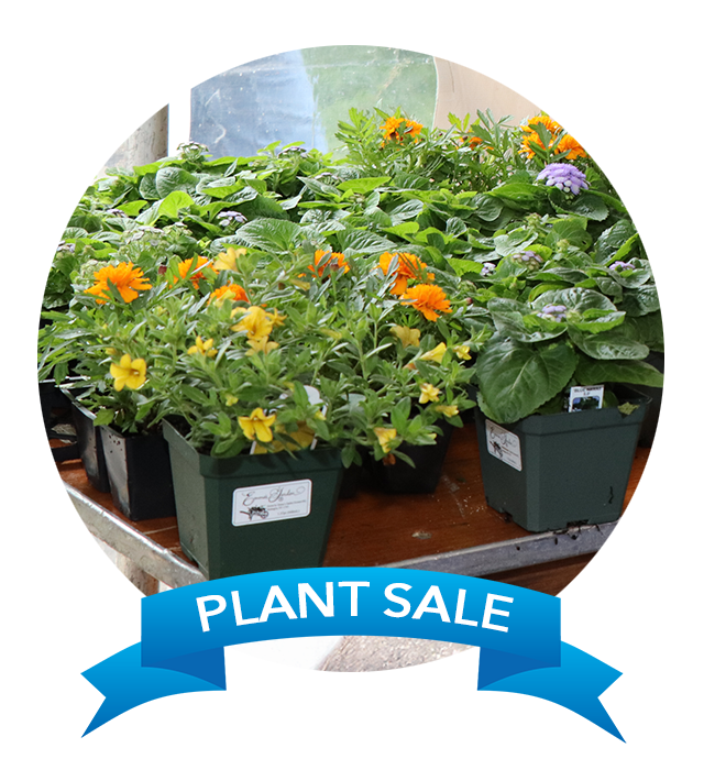 nsala_2025_pa_web_activities_plants_zm1