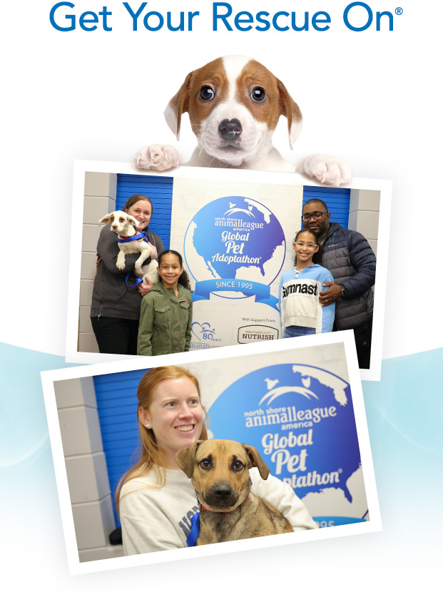 nsala_2025_pa_web_sectiontitle_campus_footer_1e_mob