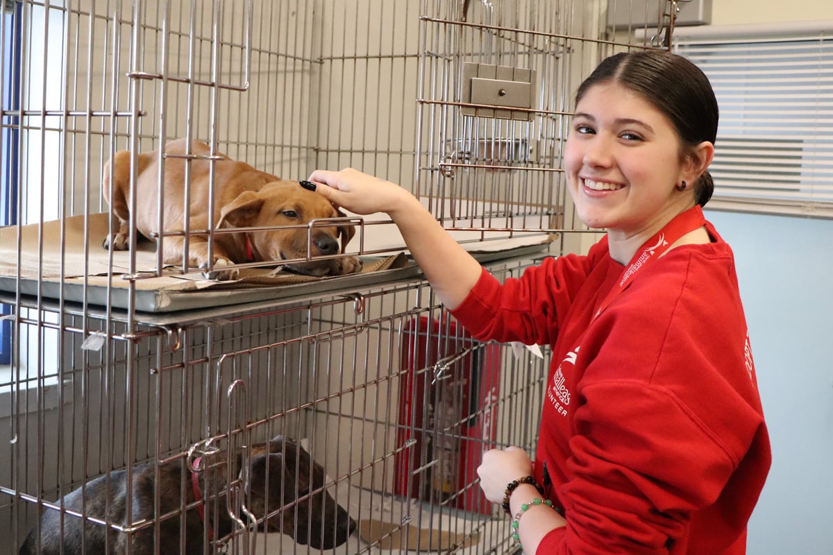 grace-volunteer-appreciation-2 Volunteer Grace Cannizzaro